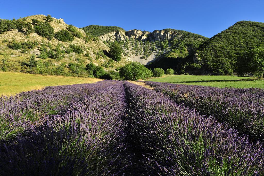 Отель Vvf Drome Provence Монбрен-ле-Бен Экстерьер фото